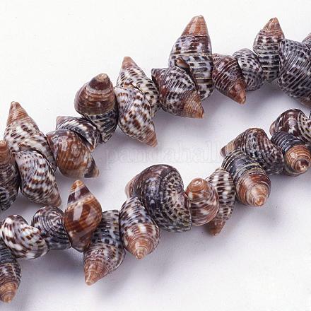 Chapelets de perles en coquille de spirale naturelle BSHE-L036-31-1