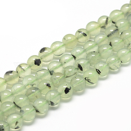 Chapelets de perles en préhnite naturelle G-R446-8mm-16-1