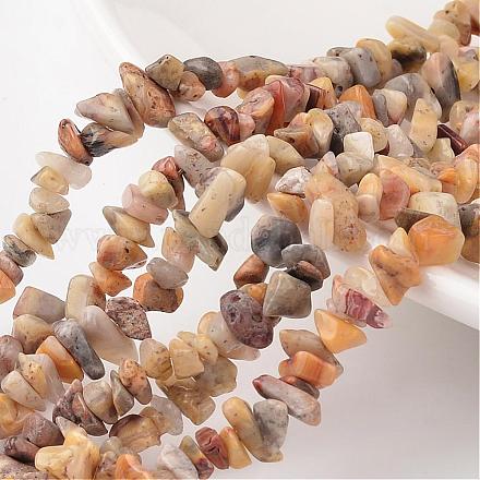 Nuggets Natural Crazy Agate Bead Strands G-M344-23-1