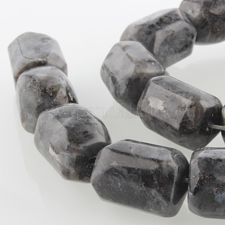 Natural Labradorite Gemstone Bead Strands G-E211-10-1