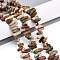 Natural Polychrome Jasper/Picasso Stone/Picasso Jasper Beads Strands, Nuggets, 2.5~7x8~19.5x5~7mm, Hole: 0.8mm, about 71~77pcs/strand, 15.35~15.75''(39~40cm)