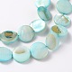 Chapelets de perles de coquillage naturel X-PBB251Y-8-3
