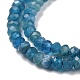 Natural Apatite Beads Strands G-E194-10-4