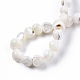 Fili di perle di conchiglia trochid naturale / trochus SSHEL-N032-48-5