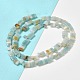Brins de perles d'amazonite de fleurs naturelles G-Z045-A04-01-2