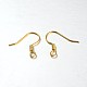 Iron Earring Hooks IFIN-N3297-01-1