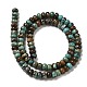 Natural Turquoise Beads Strands G-P506-03C-04-3