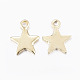 304 Stainless Steel Charms STAS-H436-51-2