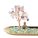 Set di sculture di buddha con albero dei soldi in fluorite naturale DJEW-G027-19RG-06-2