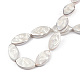 Placage de brins de perles de coquille d'eau douce naturelles SHEL-N026-228-4