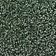 MIYUKI Delica Beads SEED-J020-DB2165-3