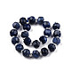 Natural Sodalite Beads Strands G-N327-08X-2
