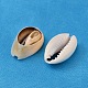 Natural Cowrie Shell Beads BSHE-S052-2