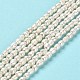 Natural Cultured Freshwater Pearl Beads Strands PEAR-E016-144-2