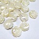 Half Drilled Natural White Shell Rose Flower Flatback Beads X-SH159-2