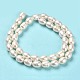 Natural Cultured Freshwater Pearl Beads Strands PEAR-E016-196-3