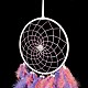 Iron Woven Web/Net with Feather Pendant Decorations AJEW-B017-09-5