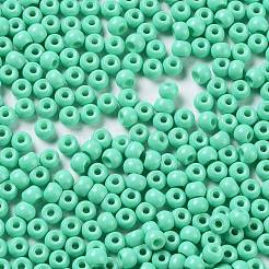 Granos de semilla de vidrio de pintura para hornear&nbsp;SEED-H002-I-A509
