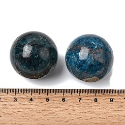 Natürliche Apatit-Kugeln ohne Loch&nbsp;G-I367-05-12