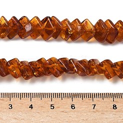 Naturbernsteinperlen Stränge&nbsp;G-K376-C01-01