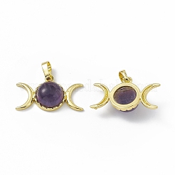 Natürlichen Amethyst Edelsteinanhänger&nbsp;G-H283-02A