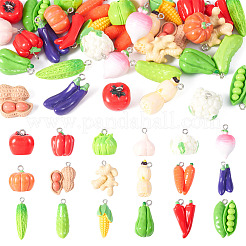 36 pieza de 18 estilos de colgantes de hierro de resina&nbsp;RESI-TA0004-03