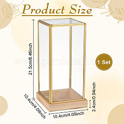 Vitrine mit Messingdeckel und Holzsockel&nbsp;DJEW-WH0028-072