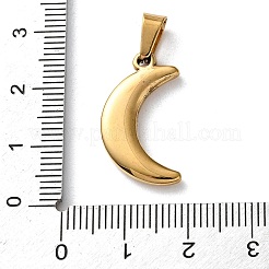 201 pendentifs en acier inoxydable&nbsp;STAS-U053-11G