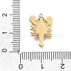 304 Edelstahl-Eanmel-Anhänger&nbsp;RESI-R155-016G