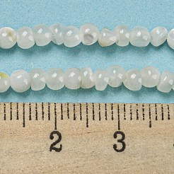 Natürliche weiße Muschel gefärbte Perlenstränge&nbsp;BSHE-Z005-03G