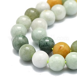 Natürliche Myanmar Jade Perlen Stränge&nbsp;G-E576-08A