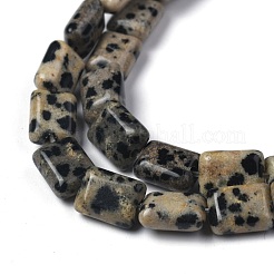 Natur Dalmatiner Jaspis Perlen Stränge&nbsp;G-Z006-B08