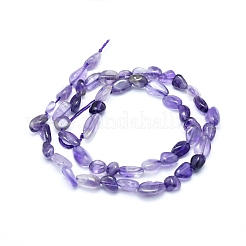 Natürlichen Amethyst Perlen Stränge&nbsp;G-L550A-05