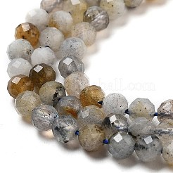 Perline labradorite naturale fili&nbsp;G-G161-A09-03