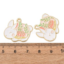 Emaille Anhänger Legierung&nbsp;AL-CBA7E34-01C-G