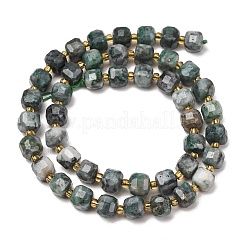 Natürliche Dioptase-Perlenstränge&nbsp;GG-CBAC972-A21-01