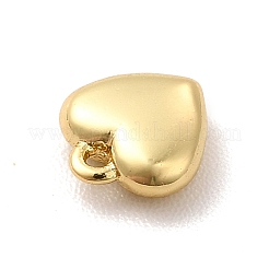 Cremagliera charms ottone placcatura&nbsp;KK-P230-10G