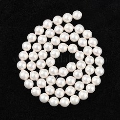 Shell Perlenstränge&nbsp;BSHE-R146-6mm-02