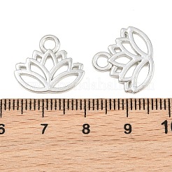 Encantos de aleación de estilo tibetano&nbsp;TIBEP-36884-P-RS
