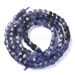 Natürliche Cordierit / Iolith / Dichroit Perlenstränge&nbsp;G-E560-A19