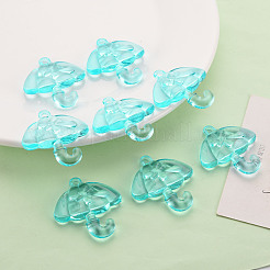 Pendentifs en acrylique transparent &nbsp;TACR-T024-01B-946