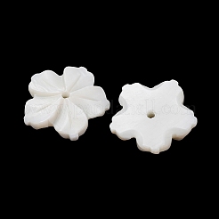 Pendenti intagliati in conchiglia d'acqua dolce naturale&nbsp;SHEL-K006-69B