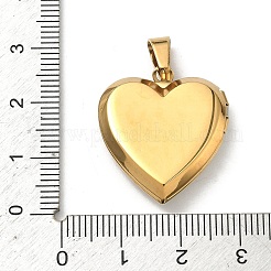 Ciondoli con medaglione in acciaio inossidabile 304&nbsp;STAS-H255-02G-05