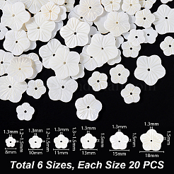 120 pz 6 stili perline di conchiglie bianche naturali&nbsp;SHEL-GA0001-26