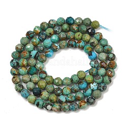 Natur hubei türkisfarbenen Perlen Stränge&nbsp;G-P629-A04-03