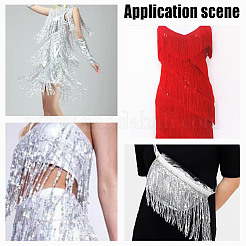 Ruban de dentelle à pampilles en polyester de 10 mètre&nbsp;DIY-WH0430-569B