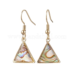 Paua naturale shell orecchini ciondola&nbsp;EJEW-JE06274-02
