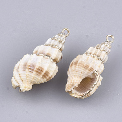 Pendentifs coquille spirale électrolytique&nbsp;SSHEL-T007-04B