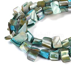 Tinti d'acqua dolce naturale perline shell fili&nbsp;SHEL-P016-01C