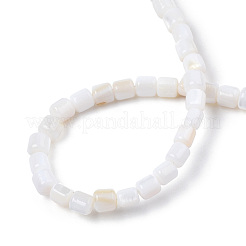 Eau douce naturelle de coquillage perles brins&nbsp;SHEL-N034-29B-01